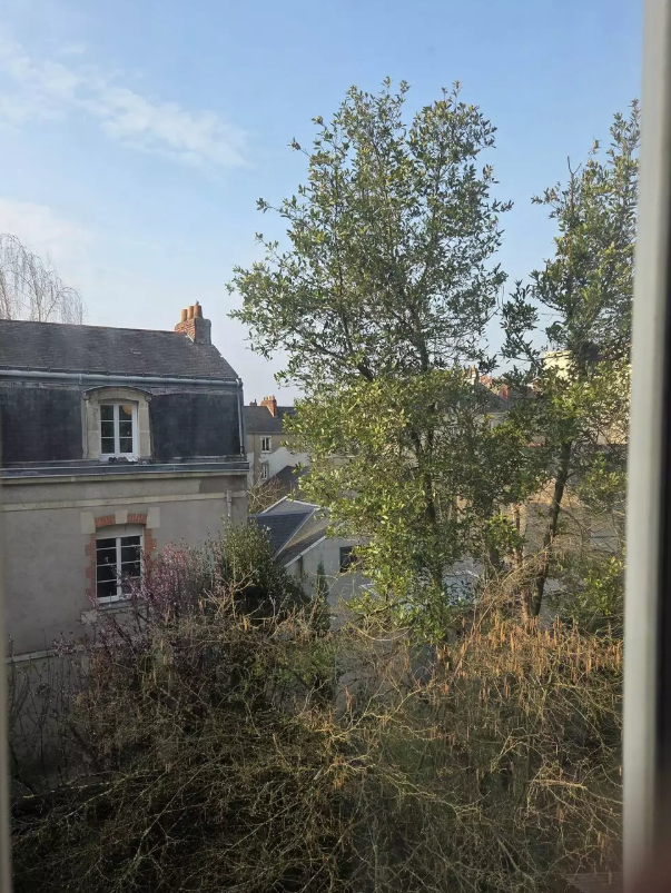 Appartement, meublé, 1 pièce, 19m² à Nantes (44000) — photo 2