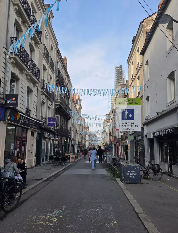 Appartement, meublé, 1 pièce, 19m² à Nantes (44000) — photo principale