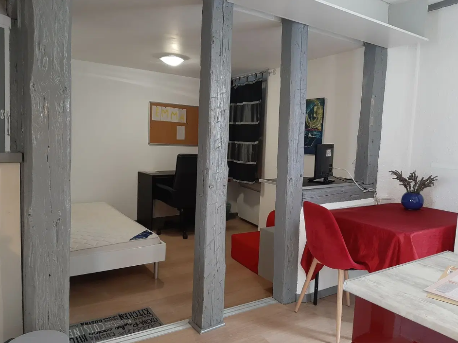 Appartement, meublé, 1 pièce, 24m² à Colmar (68000) — photo principale