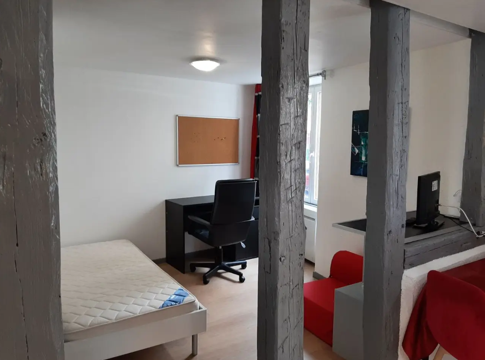 Appartement, meublé, 1 pièce, 24m² à Colmar (68000) — photo 2