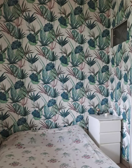 Appartement, meublé, 3 pièces, 54m² à Grenoble (38100) — photo 5