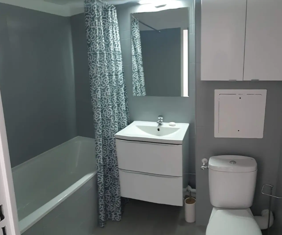 Appartement, meublé, 1 pièce, 29m² à Châtenay-Malabry (92290) — photo 4