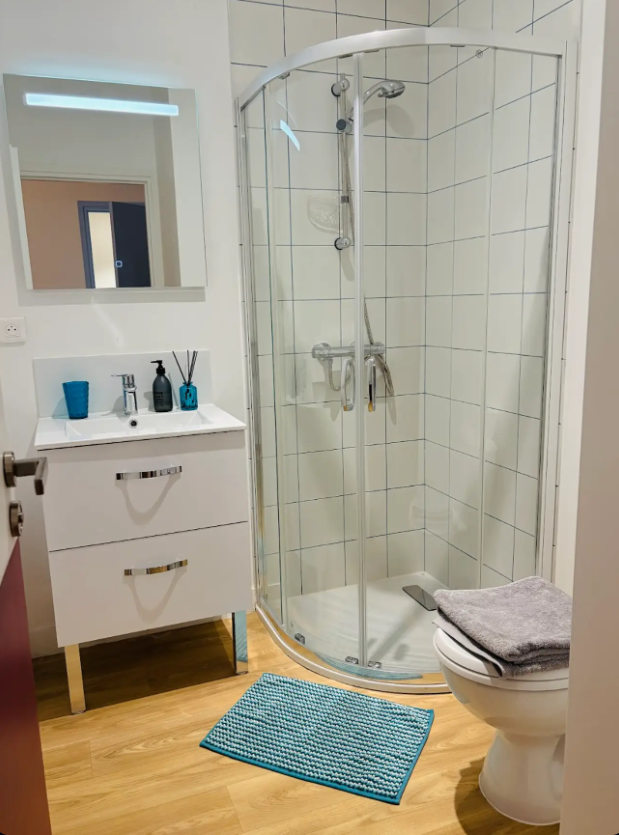 Maison, meublé, 12 pièces, 270m² à Lille (59000) — photo 3