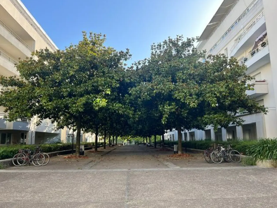 Appartement, meublé, 1 pièce, 24m² à Nantes (44000) — photo 2