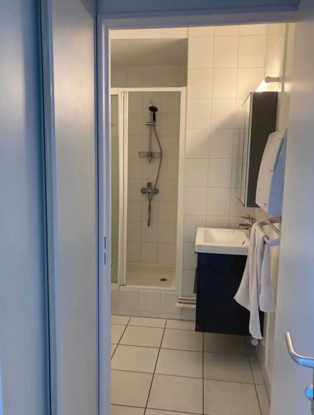 Appartement, meublé, 1 pièce, 21m² à Nantes (44000) — photo 3