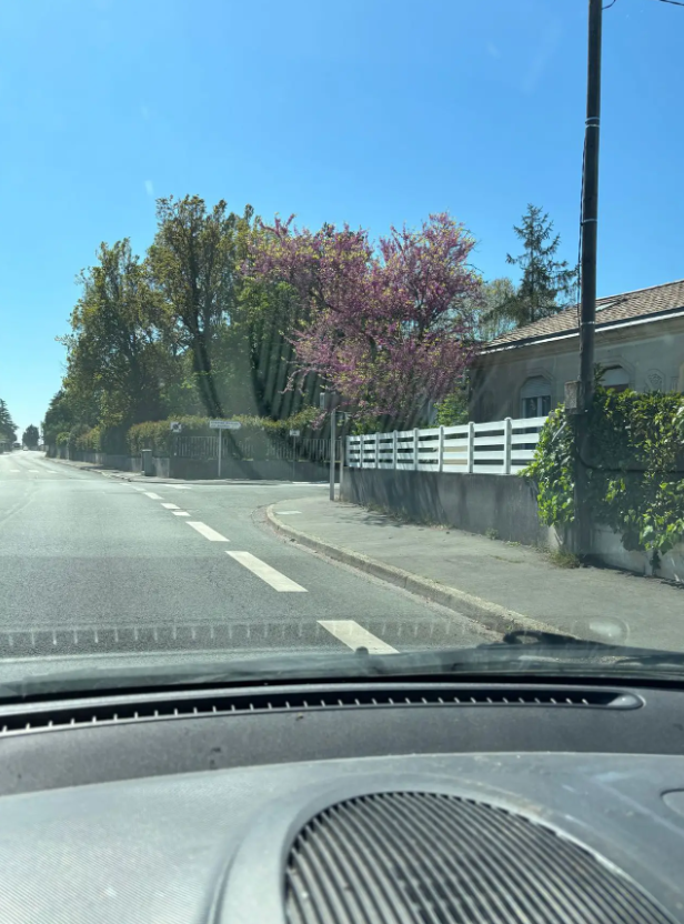 Maison, meublé, 7 pièces, 154m² à Talence (33400) — photo 4