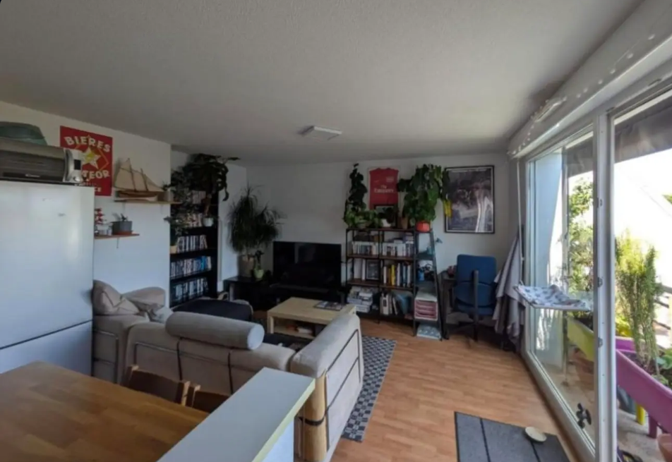 Appartement, meublé, 2 pièces, 50m² à Strasbourg (67200) — photo principale