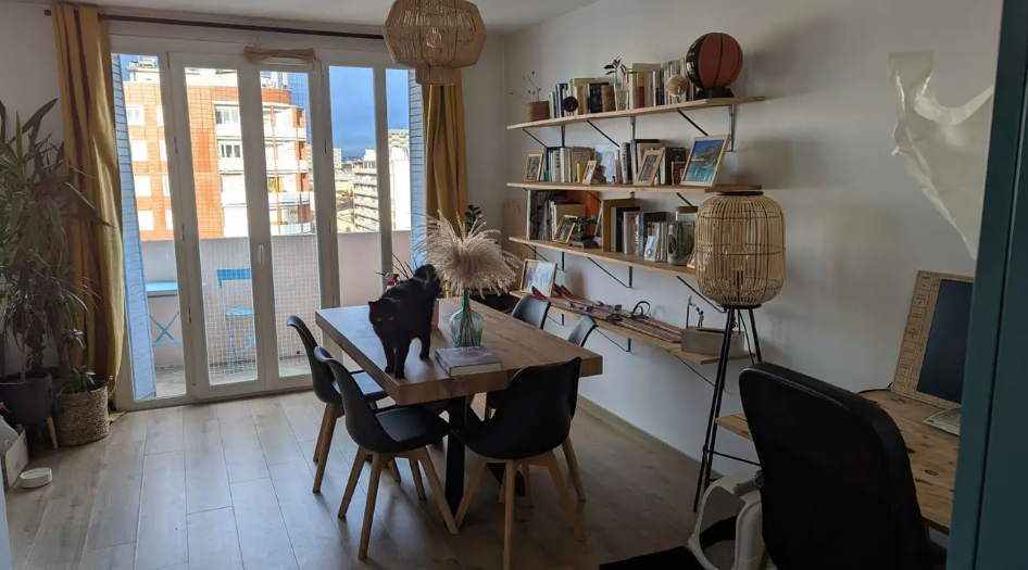 Appartement, meublé, 2 pièces, 49m² à Toulouse (31300) — photo principale
