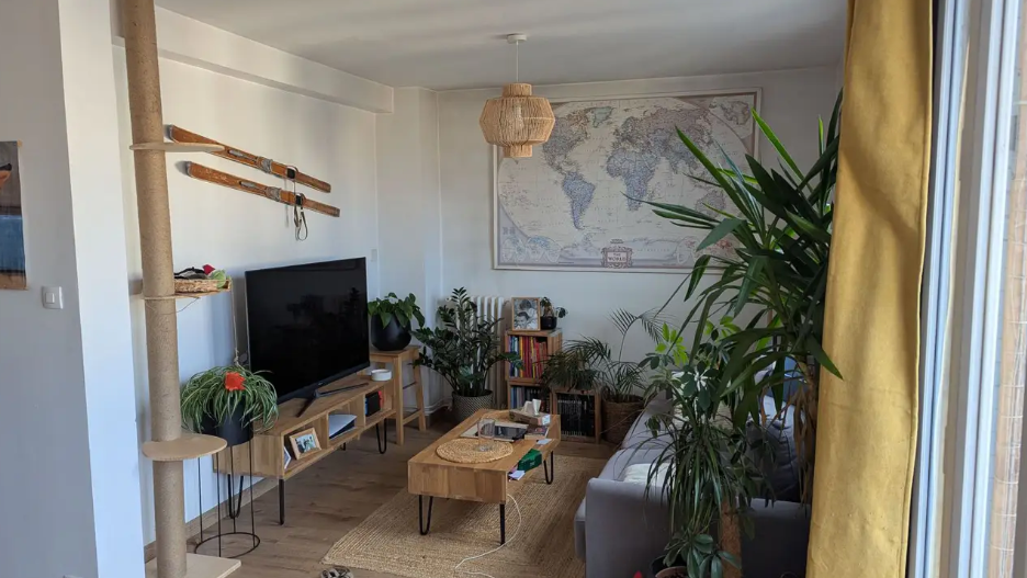 Appartement, meublé, 2 pièces, 49m² à Toulouse (31300) — photo 2