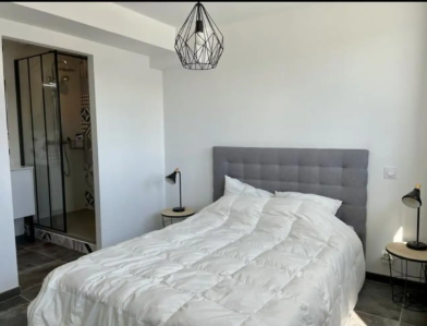 Appartement, meublé, 1 pièce, 50m² à Pau (64000) — photo 3