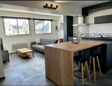 Appartement, meublé, 1 pièce, 50m² à Pau (64000) — photo 4