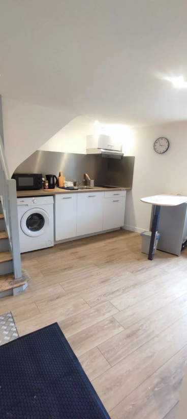 Appartement, meublé, 1 pièce, 38m² à Cinq-Mars-la-Pile (37130) — photo 3