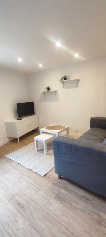 Appartement, meublé, 1 pièce, 38m² à Cinq-Mars-la-Pile (37130) — photo 5