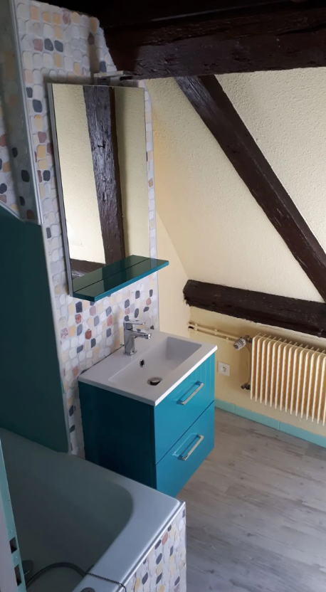 Appartement, meublé, 2 pièces, 42m² à Colmar (68000) — photo 4