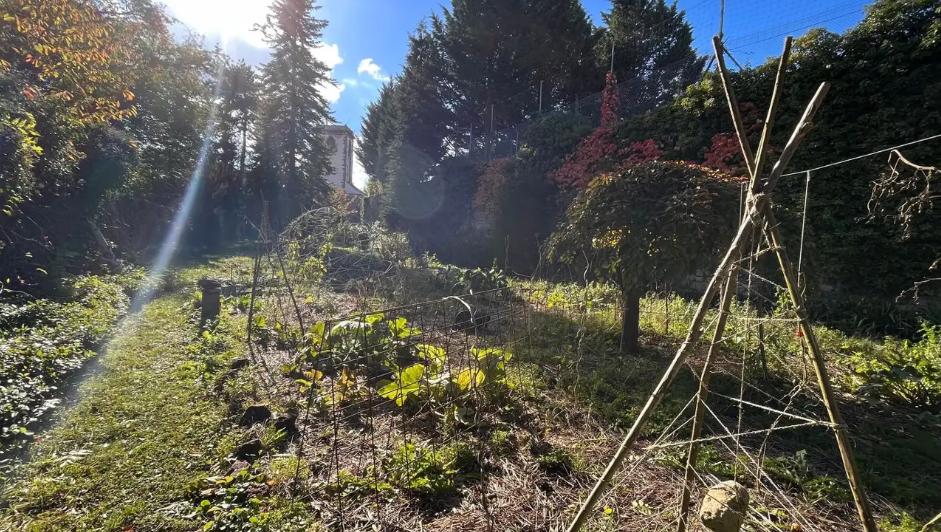 Appartement, non meublé, 5 pièces, 100m² à Wasselonne (67310) — photo 4