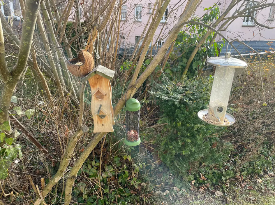 Appartement, non meublé, 4 pièces, 98m² à Colmar (68000) — photo 4