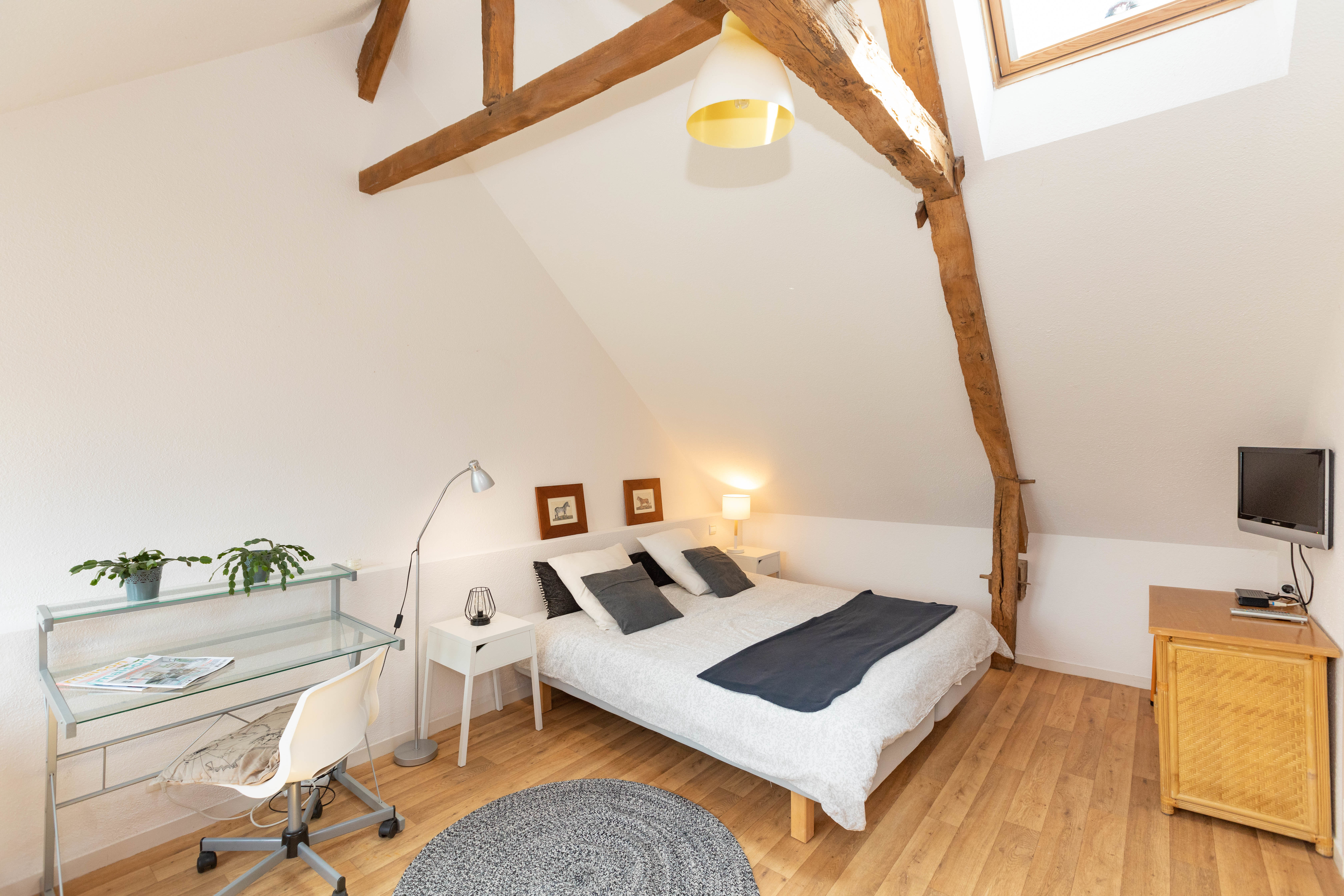 Appartement, meublé, 1 pièce, 30m² à Chantepie (35135) — photo 4