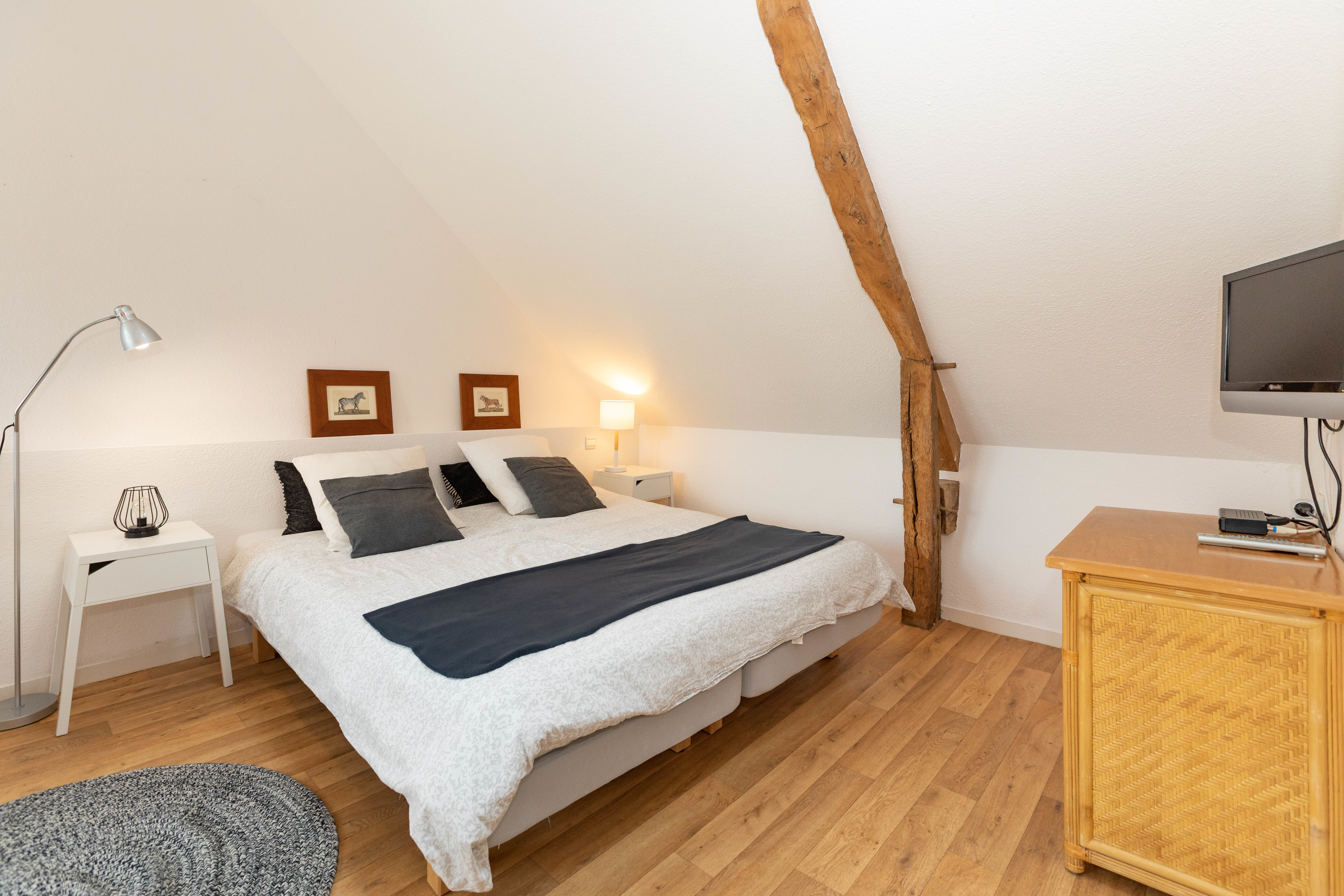 Appartement, meublé, 1 pièce, 30m² à Chantepie (35135) — photo 5