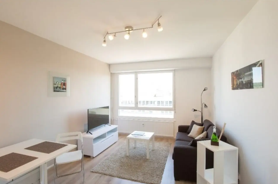 Appartement, meublé, 1 pièce, 23m² à Nancy (54000) — photo 2