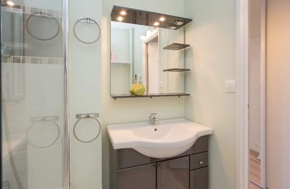 Appartement, meublé, 1 pièce, 23m² à Nancy (54000) — photo 5
