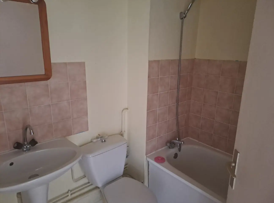 Appartement, non meublé, 1 pièce, 31m² à Vandœuvre-lès-Nancy (54500) — photo 4