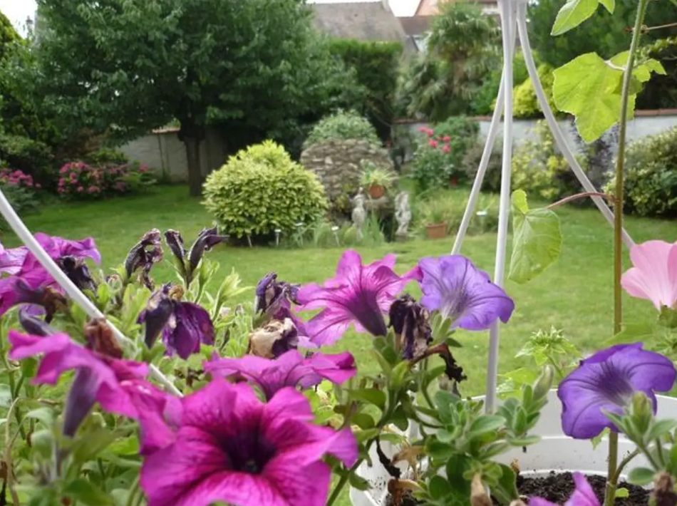 Chambre, meublé, 32m² à Maisons-Alfort (94700) — photo 2
