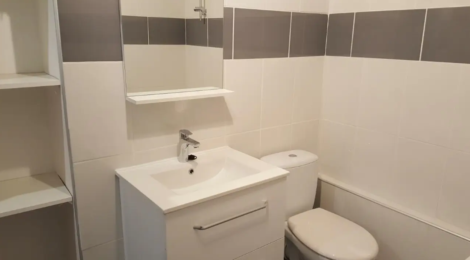 Appartement, meublé, 1 pièce, 27m² à Saint-Étienne (42000) — photo 4
