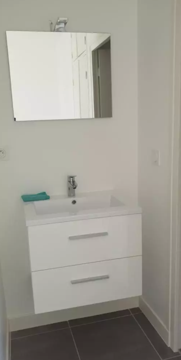 Appartement, meublé à Villeurbanne (69100) — photo 3