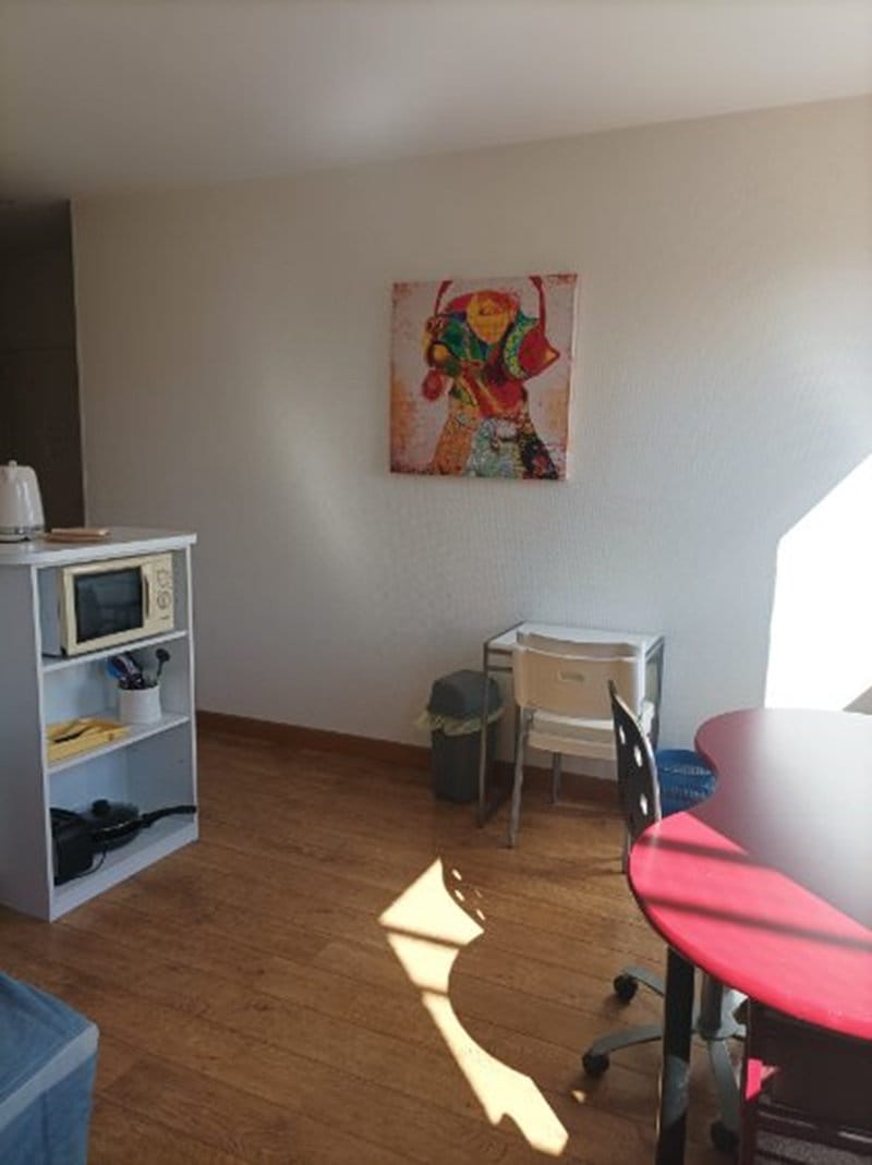 Appartement, meublé, 1 pièce, 28m² à Toulouse (31500) — photo 2