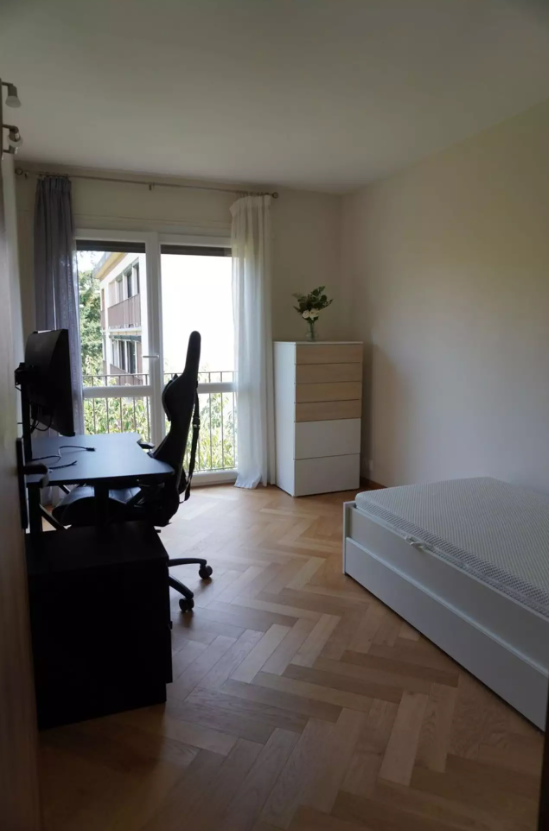 Appartement, meublé, 4 pièces, 70m² à Palaiseau (91120) — photo 3