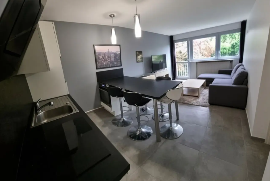 Appartement, non meublé, 2 pièces, 45m² à Nancy (54000) — photo principale