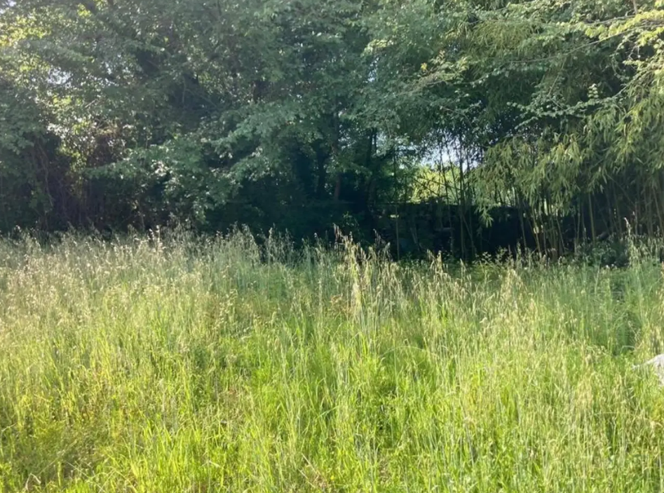 Maison, non meublé, 4 pièces, 90m² à Galgon (33133) — photo 4