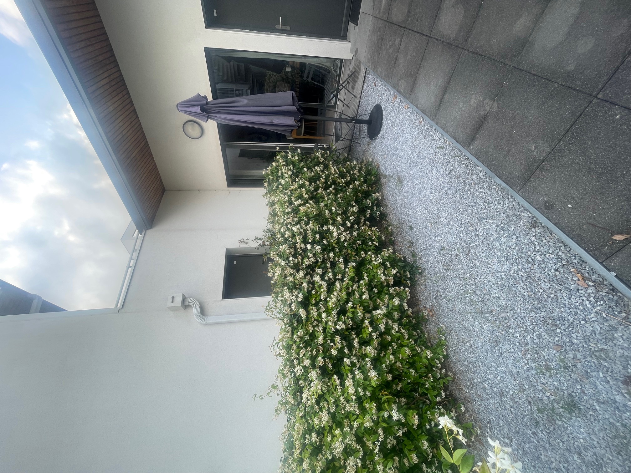 Chambre, meublé, 5 pièces à Bordeaux (33000) — photo 3