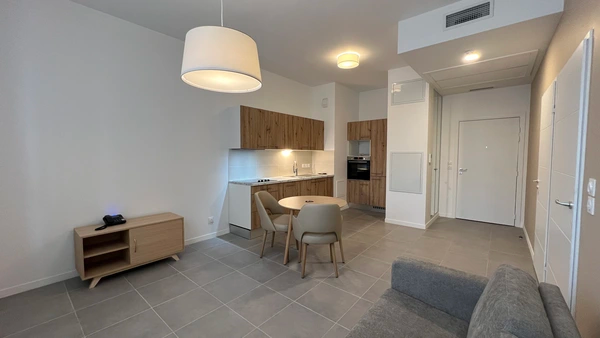 Appartement, meublé, 2 pièces, 43m² à Toulouse (31000) — photo 3