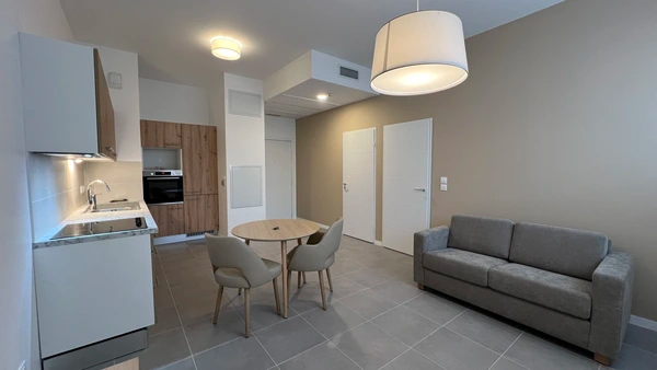 Appartement, meublé, 2 pièces, 43m² à Toulouse (31000) — photo 4