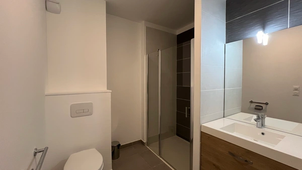 Appartement, meublé, 2 pièces, 43m² à Toulouse (31000) — photo 5