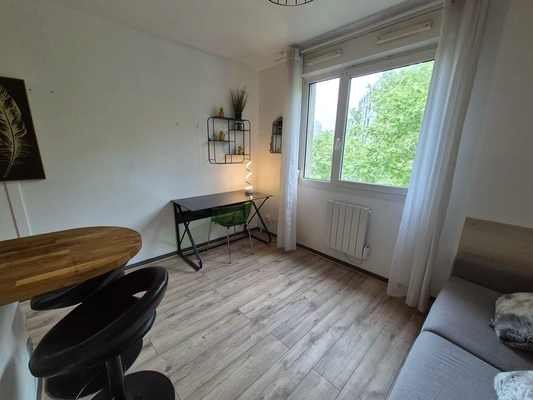 Appartement, meublé, 1 pièce, 19m² à Lyon (69007) — photo principale