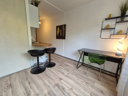 Appartement, meublé, 1 pièce, 19m² à Lyon (69007) — photo 3