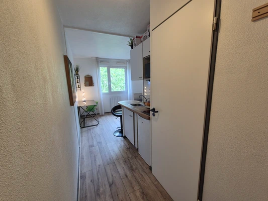Appartement, meublé, 1 pièce, 19m² à Lyon (69007) — photo 4