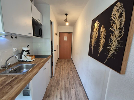 Appartement, meublé, 1 pièce, 19m² à Lyon (69007) — photo 5