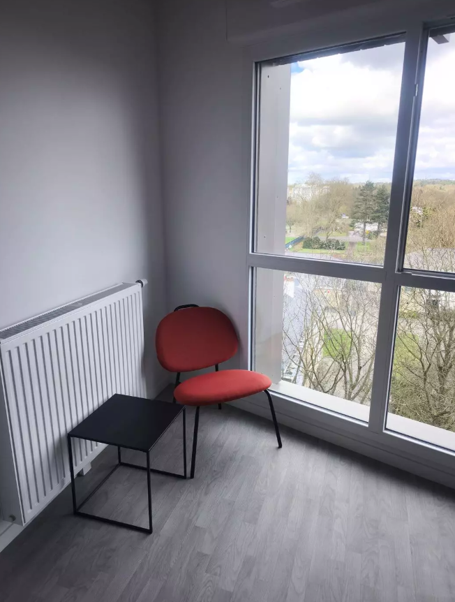 Appartement, meublé, 1 pièce, 25m² à Rennes (35000) — photo 3