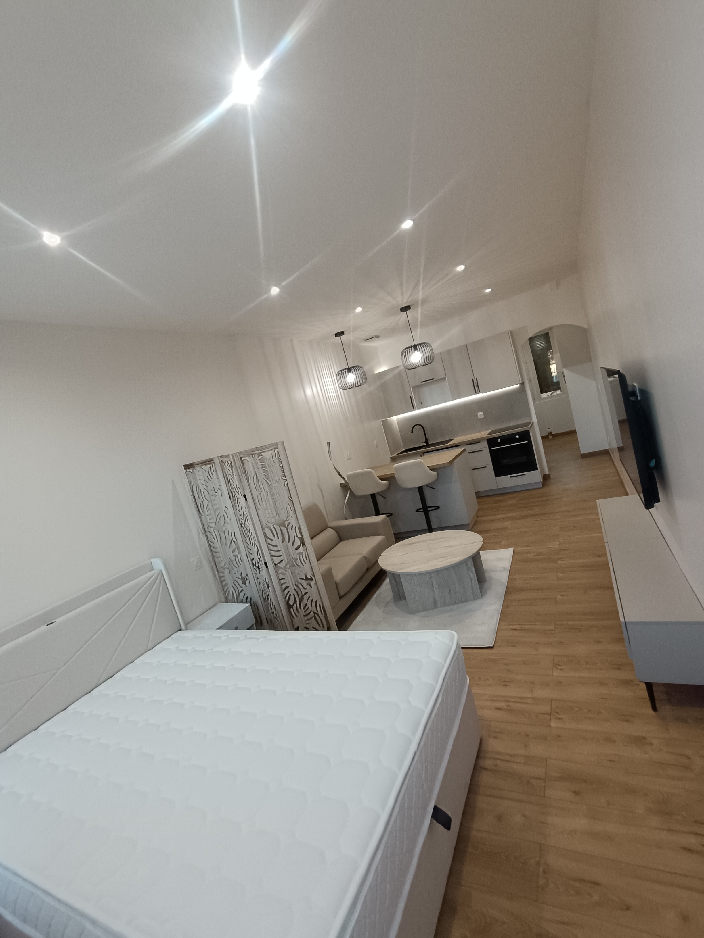 Appartement, meublé, 1 pièce, 33m² à Toulouse (31000) — photo 2
