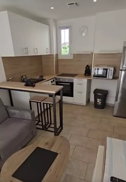 Appartement, meublé, 1 pièce, 22m² à Nice (06000) — photo 3
