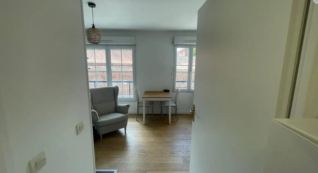 Appartement, meublé, 1 pièce, 23m² à Lille (59800) — photo 2