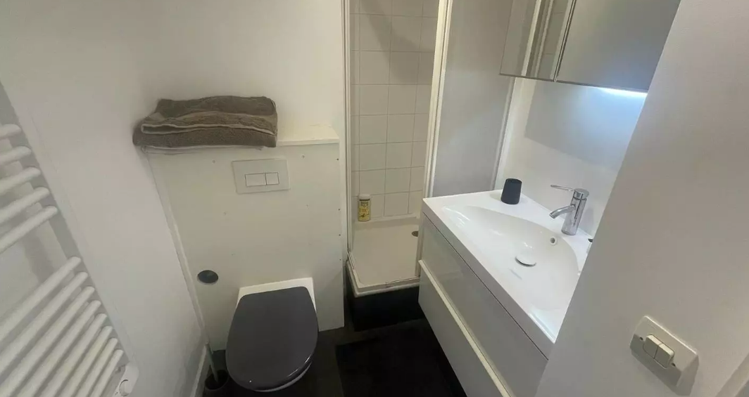 Appartement, meublé, 1 pièce, 23m² à Lille (59800) — photo 3