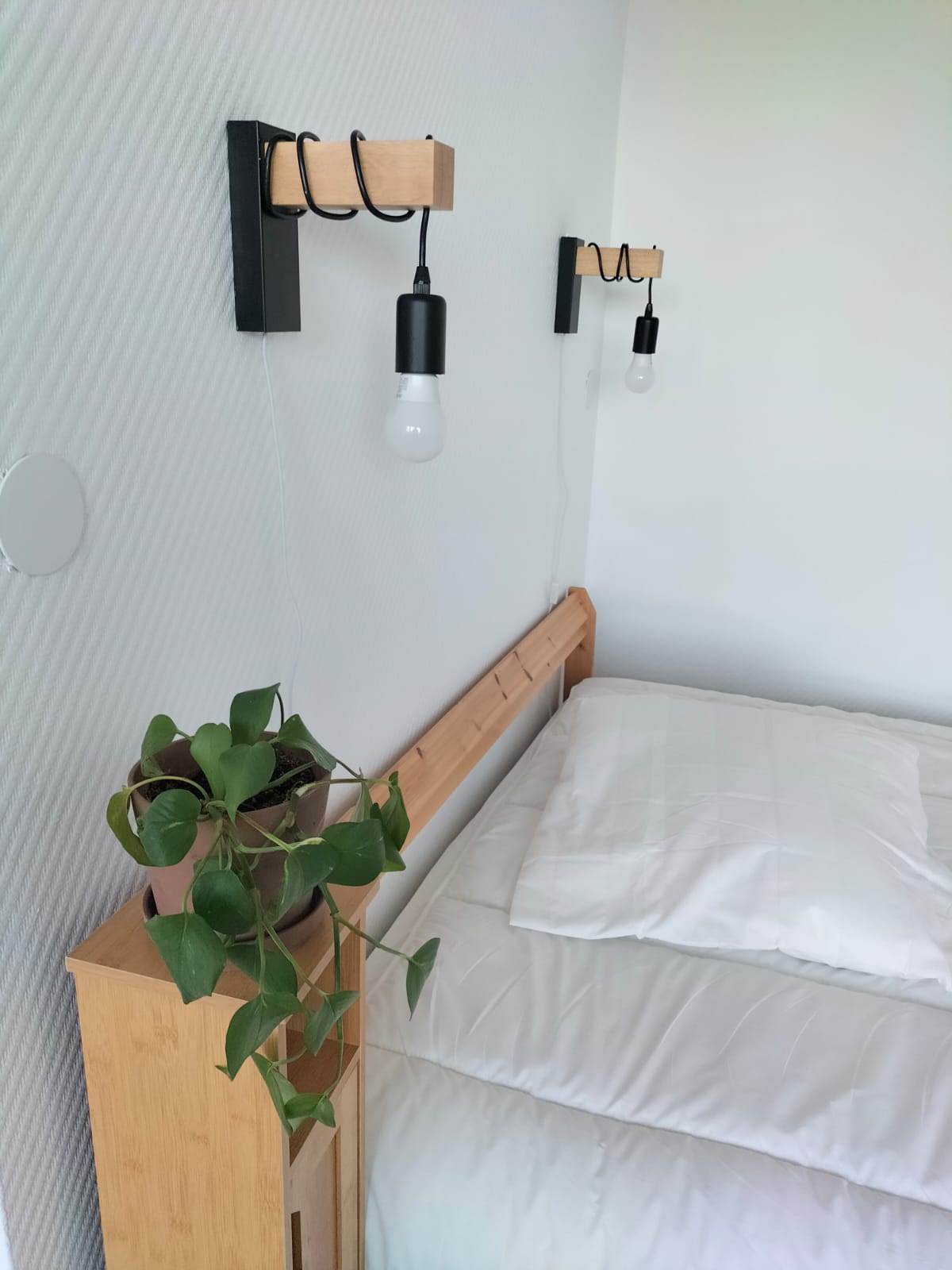 Appartement, meublé, 1 pièce, 32m² à Lille (59000) — photo principale