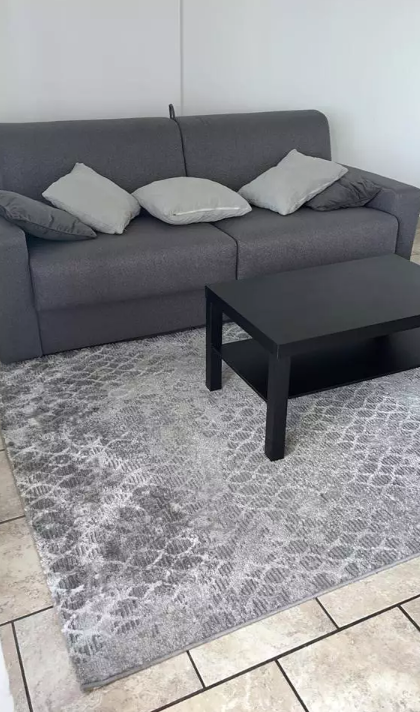 Appartement, meublé, 2 pièces, 48m² à Nice (06200) — photo 5