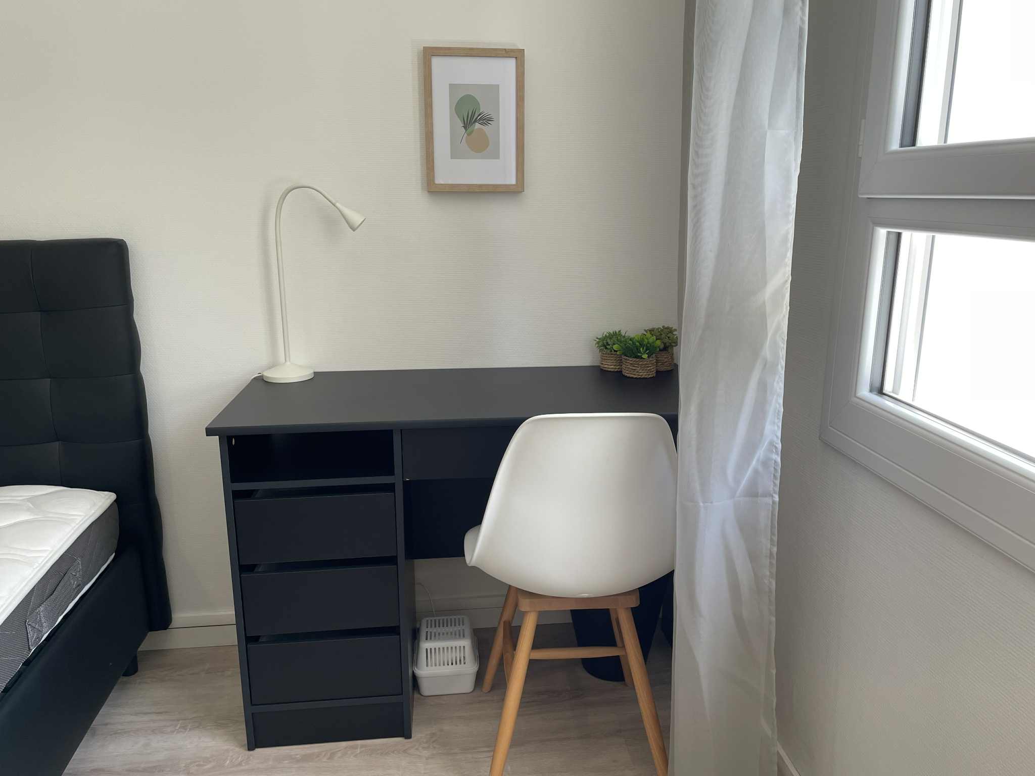 Appartement, meublé, 3 pièces, 50m² à Pessac (33600) — photo 4