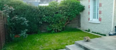 Maison, meublé, 2 pièces, 35m² à Tours (37100) — photo 3