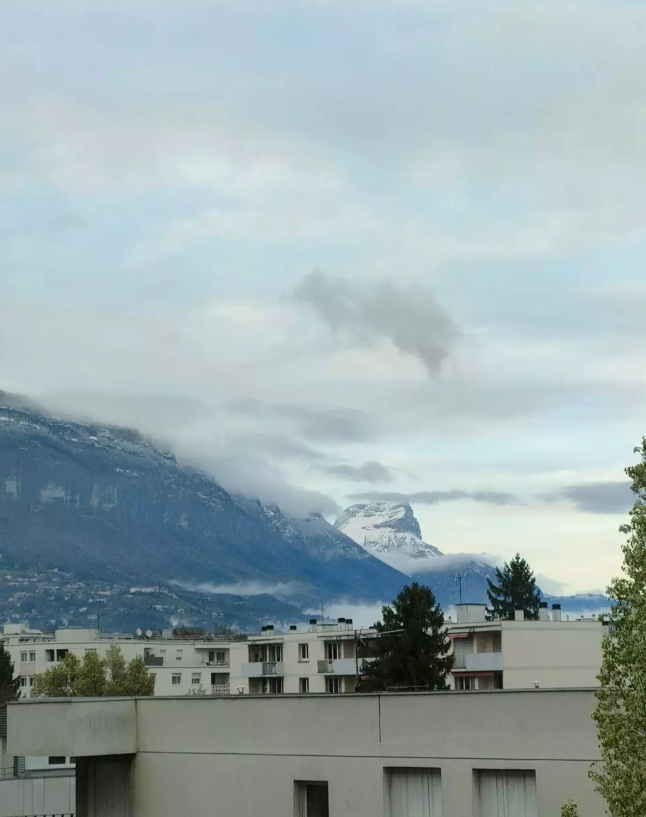 Appartement, meublé, 1 pièce, 25m² à Grenoble (38100) — photo principale